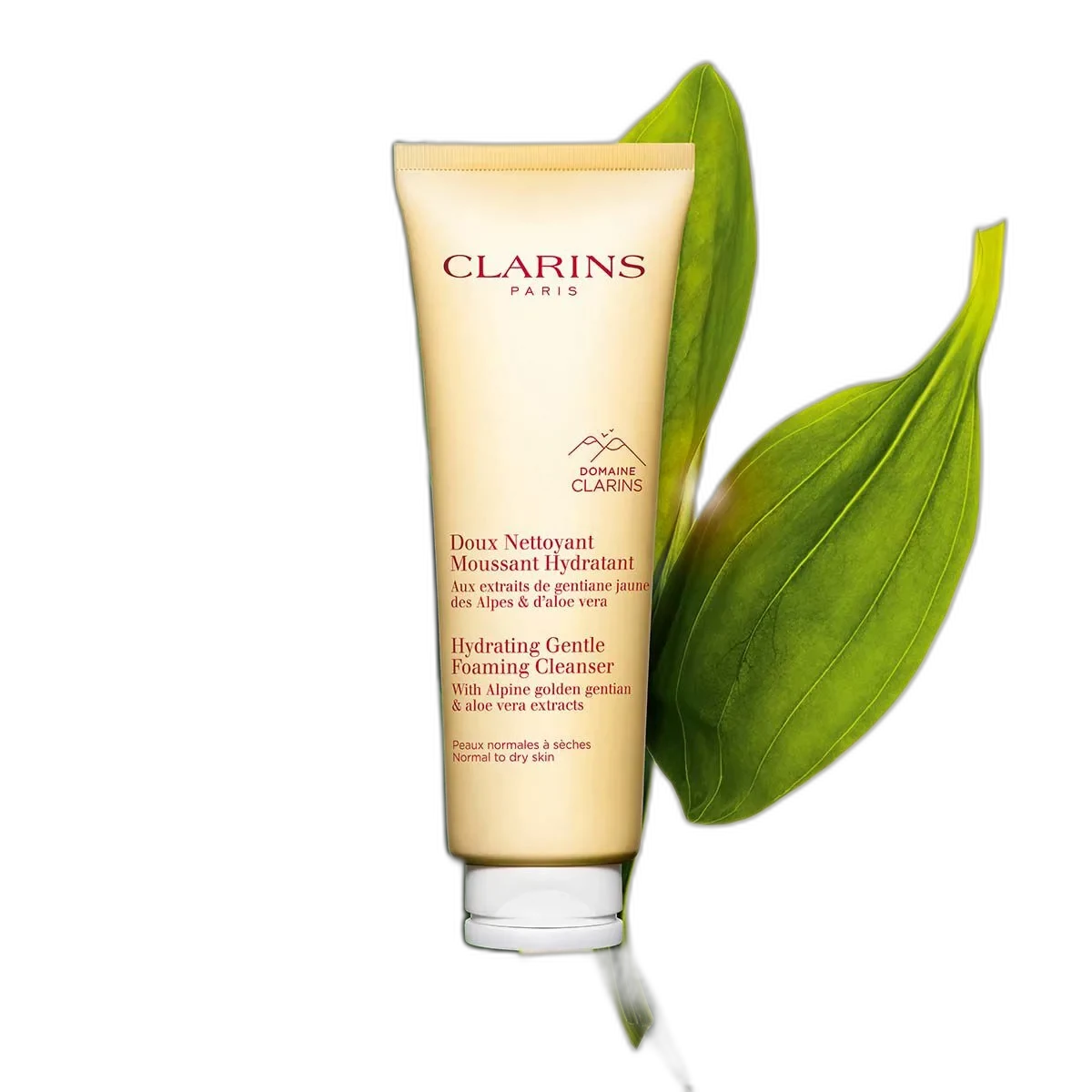 Clarins Gentle Foaming Cleanser squeeze tube for normal to dry skin